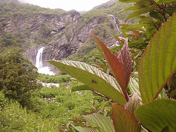uttrakhand beauty, cool, waterfall, india, beauty HD wallpaper