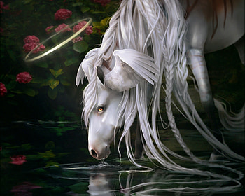 Mirrored and uncovered, wings, white, horse, yewrezz, pegasus, feather, fantasy, luminos, water HD wallpaper