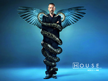 Cinema, People, Actors, House M.d., Hugh Laurie HD wallpaper