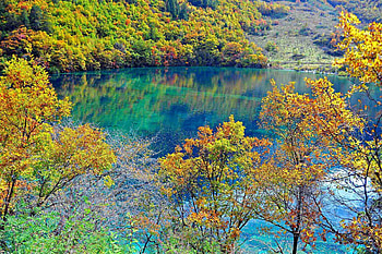 Nature, China, Crystal Turquoise Lake, Jiuzhaigou National Park, Jujaigou National Park HD wallpaper