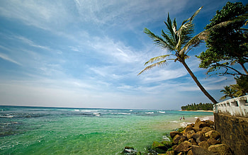 People, Nature, Water, Stones, Sea, Shore, Bank, Transparent, Palm, Rest, Relaxation, Moss, Resort HD wallpaper