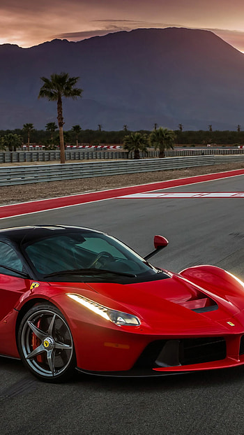 Beloved pet, Ferrari enthusiast, Canine companion, Happy memories HD phone wallpaper