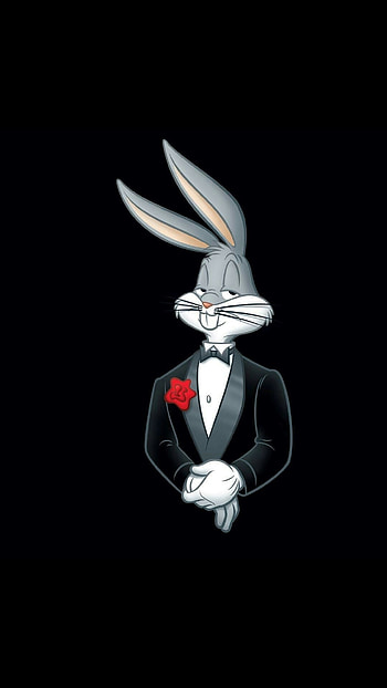 Heris pin, Classic cartoons, Nostalgic moments, Looney Tunes memories HD phone wallpaper