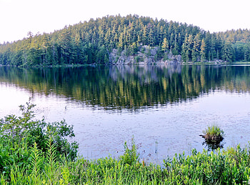 Reflections On The River, Reflections, graphy, Rocks, Forest, Trees, Nature, River HD wallpaper