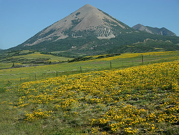 Yellow-Wildflowers-Colorado-Wing-Chi-Poon, field, flower, nature, colorado, mountain HD wallpaper
