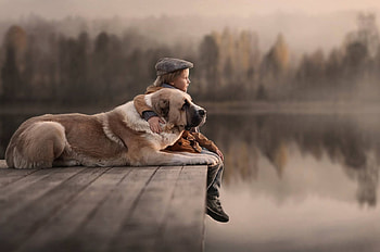Kids And Dogs, kids, animals, dog, love HD wallpaper