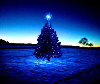 Blue Cristhmas Tree, star, blue, sky, cristhmas, tree HD wallpaper