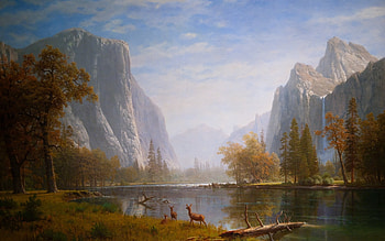 Landscape, Nature HD wallpaper
