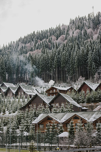 Winter, Nature, Houses, Snow, Forest, Slope HD phone wallpaper