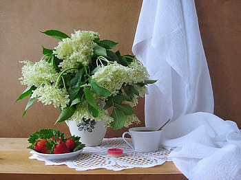 Fresh and beautiful, white veil, bouquet, strawberry, graphy, vase, veil, beautiful, fruits, cup, beauty, still life, candle, flowers, cloth, white flowers HD wallpaper