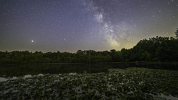 Trees Forest Milky Way Starry Sky Background Reflection On Water Nature HD wallpaper