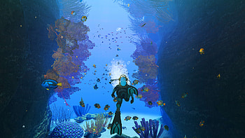 Endless Ocean HD wallpaper