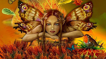 Fairy, Fantasy HD wallpaper