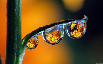 Drops, Reflection, Macro, Multicolored, Motley, Dew HD wallpaper