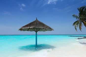 Idyllic beach scene with a parasol, turquoise water, and palm tree, perfect for relaxation. HD wallpaper