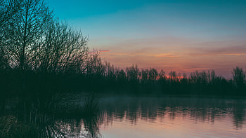 Nature, Trees, Sunset, Lake, Fog HD wallpaper