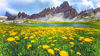 Wildflowers in the Dolomites, Italy, blossoms, peaks, ond, clouds, meadow, sky, mountains, pond HD wallpaper