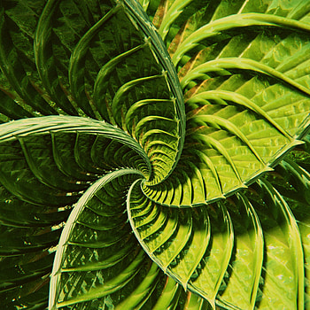 Abstract, Lines, Stripes, Streaks, Twisting, Torsion HD phone wallpaper