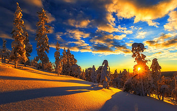 Frosted Trees in Winter, winter, woods, snow, trees, clouds, nature, sky, ice, sunset, frosted HD wallpaper