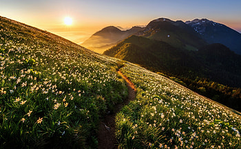 Landscape, road, mountains, sunrise HD wallpaper