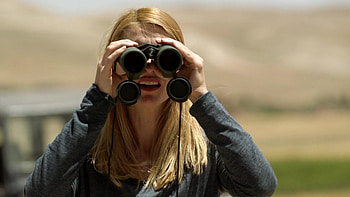 S08E08, Homeland HD wallpaper
