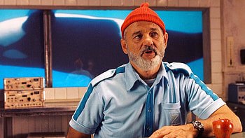 Steve Zissou, Bill Murray HD wallpaper