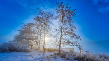Winter Morning, sky, nature, Winter, Morning HD wallpaper