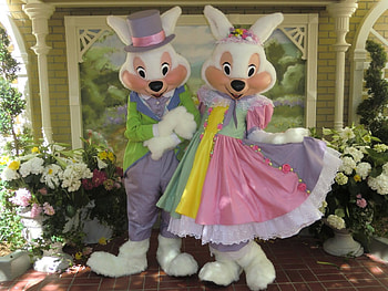 Mr. and Mrs. Easter Bunny, bunnies, Easter, rabbits, flowers, dress, hat HD wallpaper