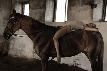 Horse and the lady, animal, lady, Horse, swimsuit HD wallpaper