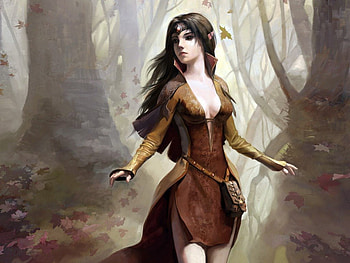 a_beautiful_elf, amit, omdave, matu, hrdave HD wallpaper