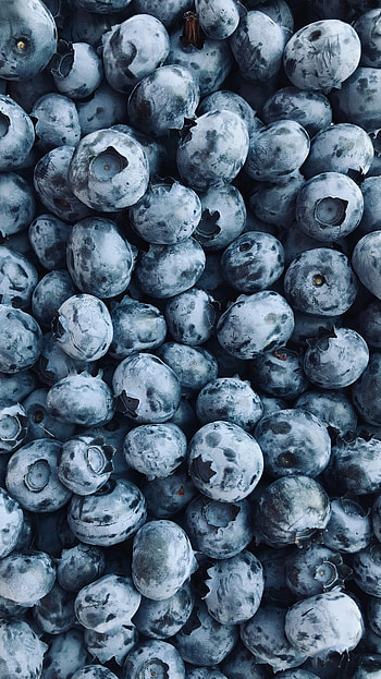 Food, Bilberries, Berry, Fruit HD phone wallpaper