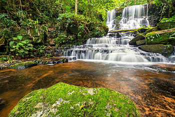 Waterfalls, nature, forest, tree HD wallpaper