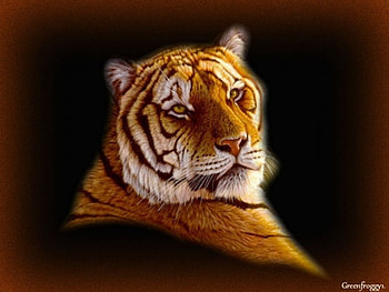 REGAL TIGER, REGAL, CREATION, TIGER, ABSTRACT HD wallpaper