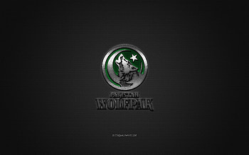 Pakistan Wolfpak, Indian american football club, silver logo, gray carbon fiber background, EFLI, american football, Elite Football League of India, Peshawar, Pakistan, India, Pakistan Wolfpak logo HD wallpaper