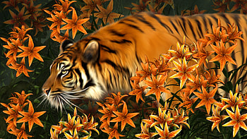 TIGER LILIES, FLOWERS, ORANGE, PAINTING, TIGER, LILIES HD wallpaper