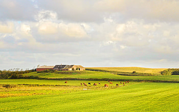 Countryside collection, Serene English landscapes, Irish countryside charm, Vietnamese countryside beauty HD wallpaper