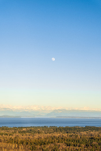 Nature, Mountains, Clouds, Horizon, Lake, Forest, Fog HD phone wallpaper