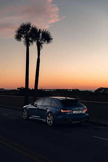 Audi, Twilight, Palms, Cars, Road, Car, Dusk HD phone wallpaper