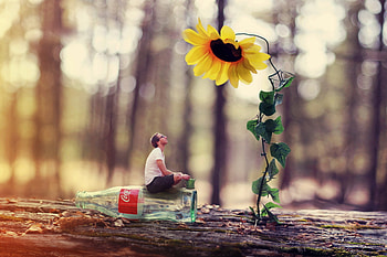 People, Flowers, Sunflowers, Art , Men HD wallpaper