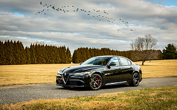 2021, Alfa Romeo Giulia Quadrifoglio, front view, exterior, black new Giulia Quadrifoglio, Italian cars, Alfa Romeo HD wallpaper
