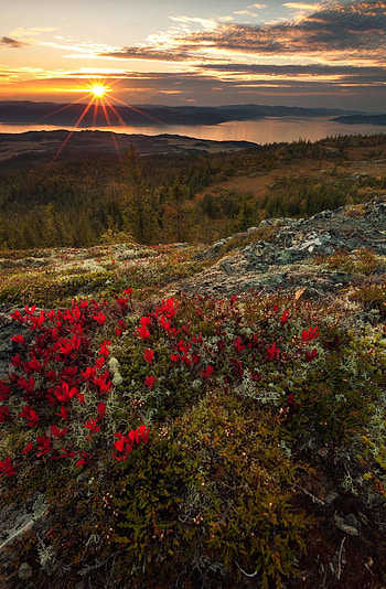Fall autumn scenery, Mountain backdrop, Outdoor travel HD phone wallpaper