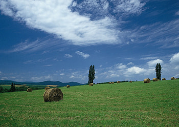Field, clouds, grass, sky HD wallpaper