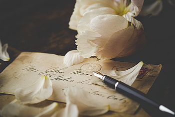 Flowers, Miscellanea, Miscellaneous, Petals, Pen, Peony, Pion, Letter HD wallpaper