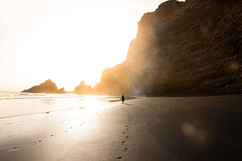 Nature, Beach, Rocks, Coast, Silhouette, Sunlight HD wallpaper