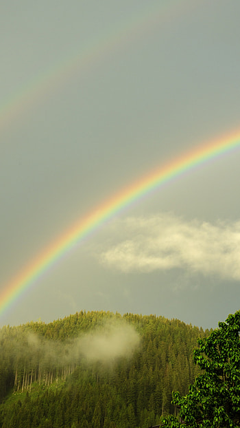 Rainbow, Rainbow Glare HD phone wallpaper