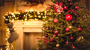 Christmas fir tree, Festive spirit, Joyous celebration, Holiday vibes HD wallpaper