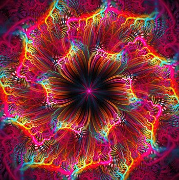 Abstract, Flower, Bright, Multicolored, Motley, Fractal HD phone wallpaper
