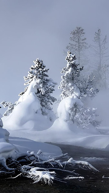 Romantic, snow love, snow, love HD phone wallpaper