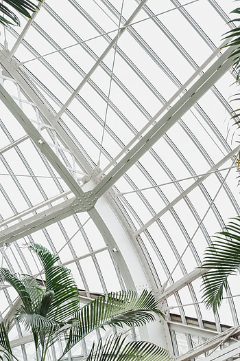Building, Plant, Minimalism, Palm, Construction, Design, Greenhouse HD phone wallpaper