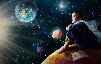 The little Prince, Softness, rose, Prince, Little, Pink, beauty HD wallpaper